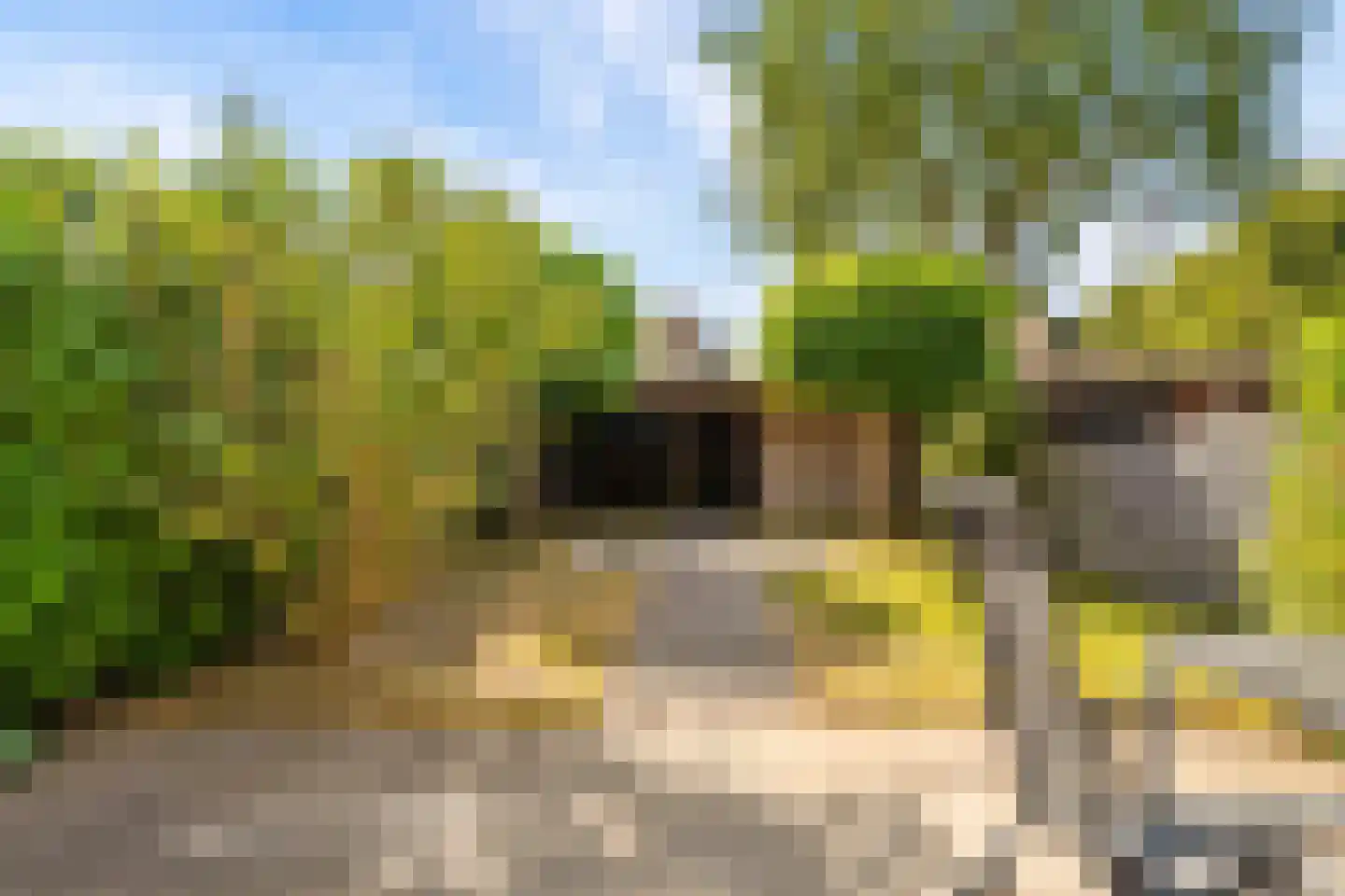 Van Welveldenmarke 1 Zwolle thumbnail 34