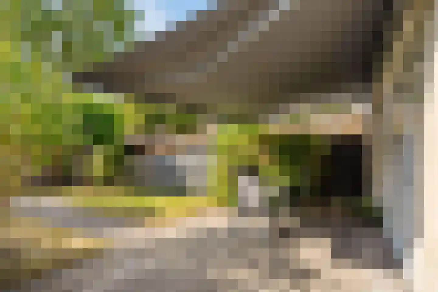 Van Welveldenmarke 1 Zwolle thumbnail 36