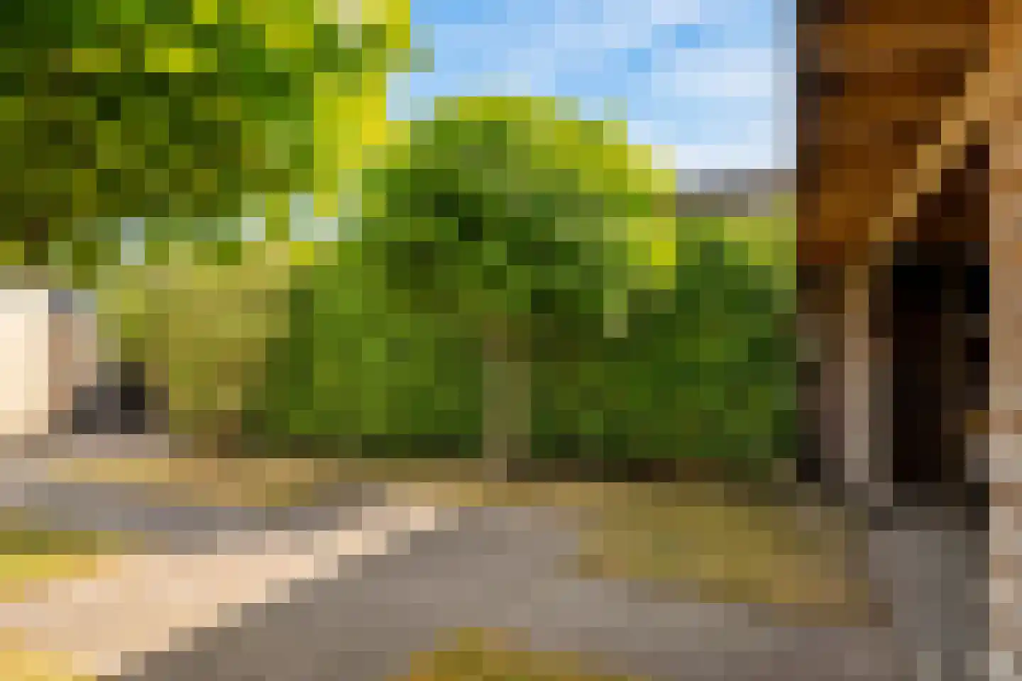 Van Welveldenmarke 1 Zwolle thumbnail 37