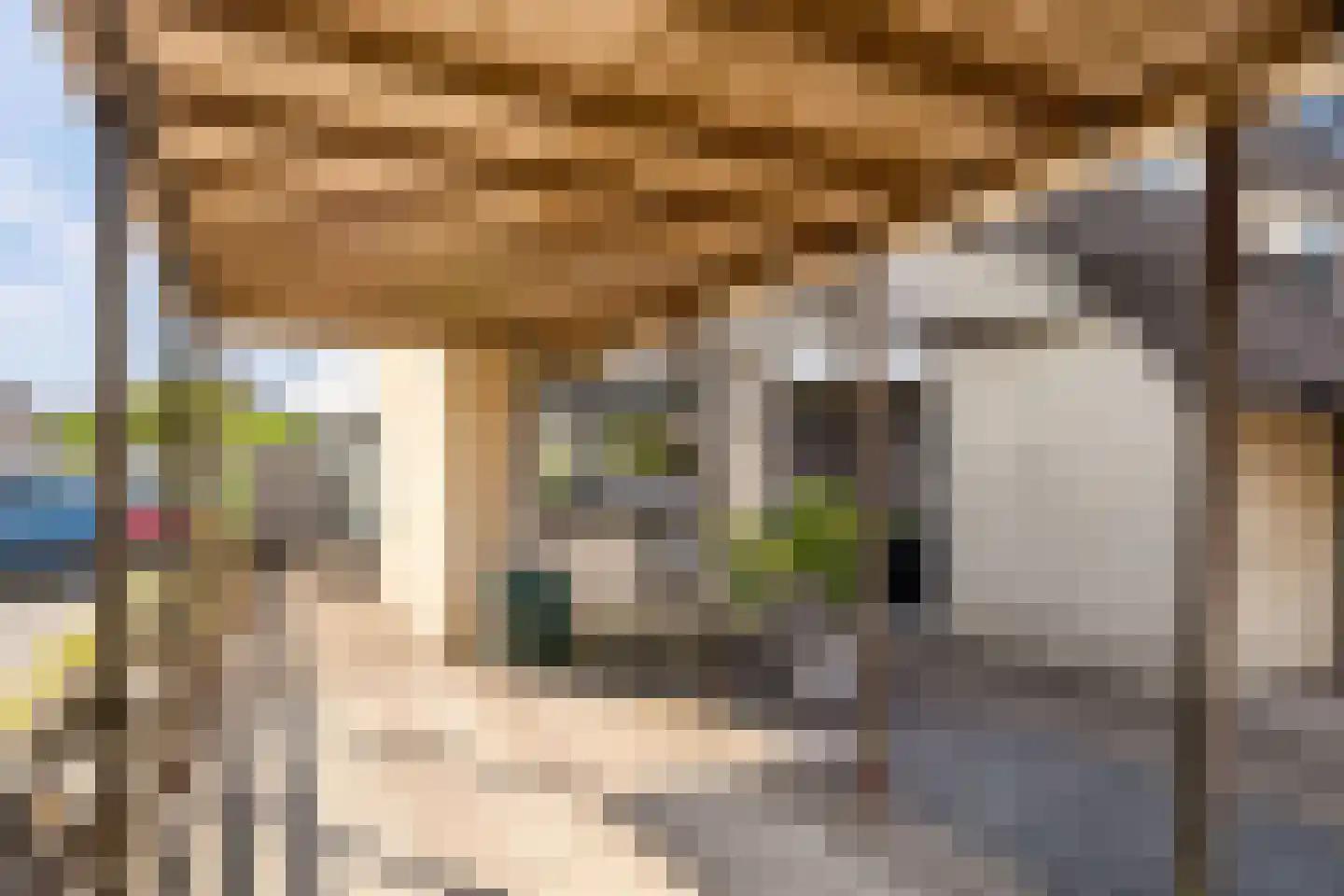 Van Welveldenmarke 1 Zwolle thumbnail 40