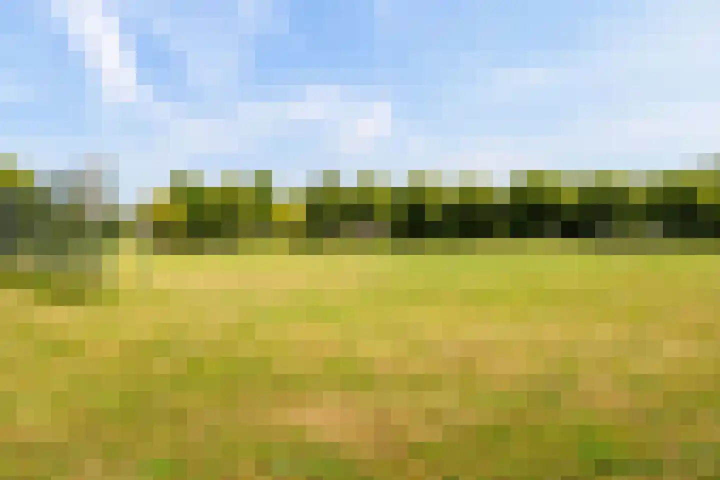 Van Welveldenmarke 1 Zwolle thumbnail 44