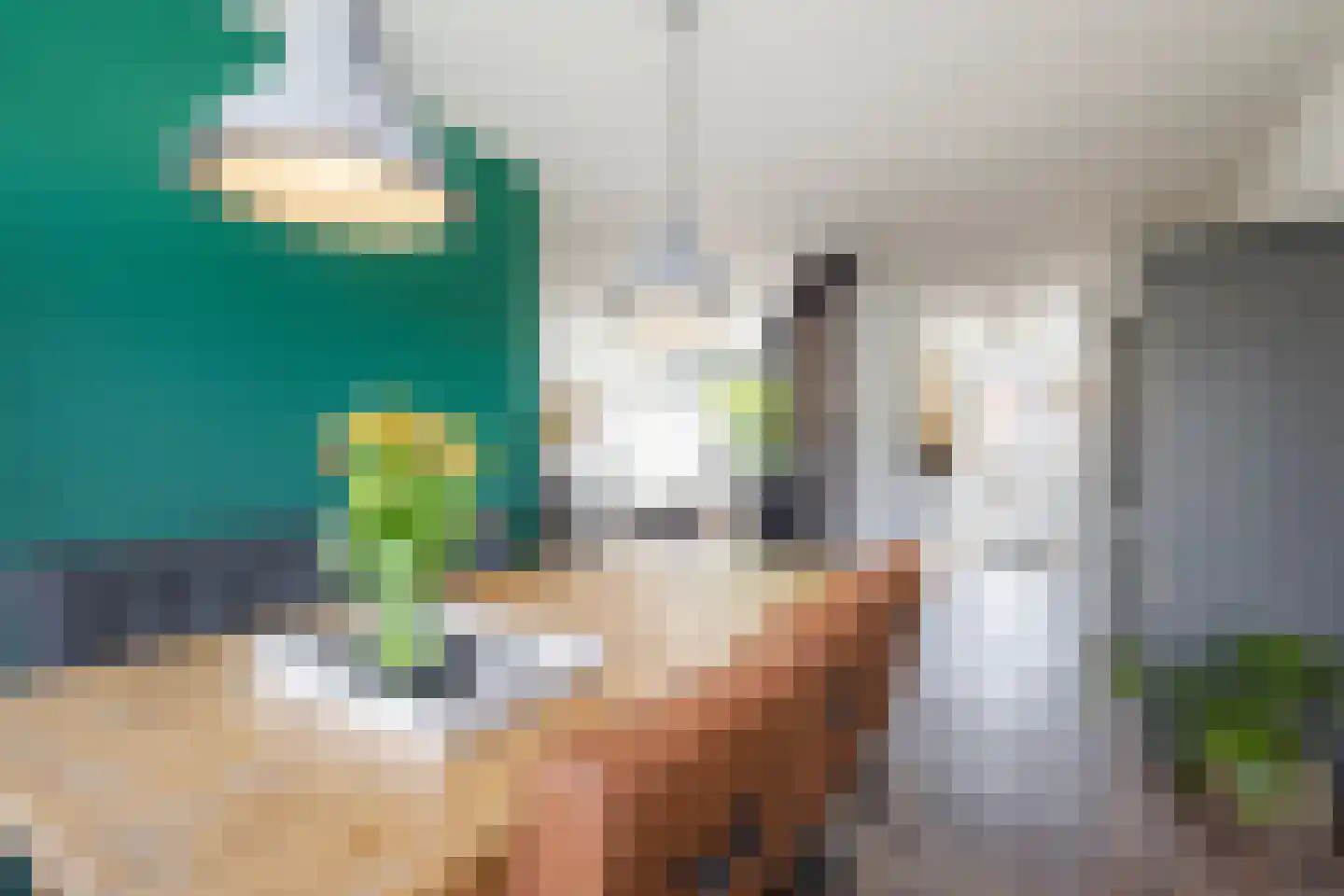 van Wenastraat 27 Giessenburg thumbnail 13