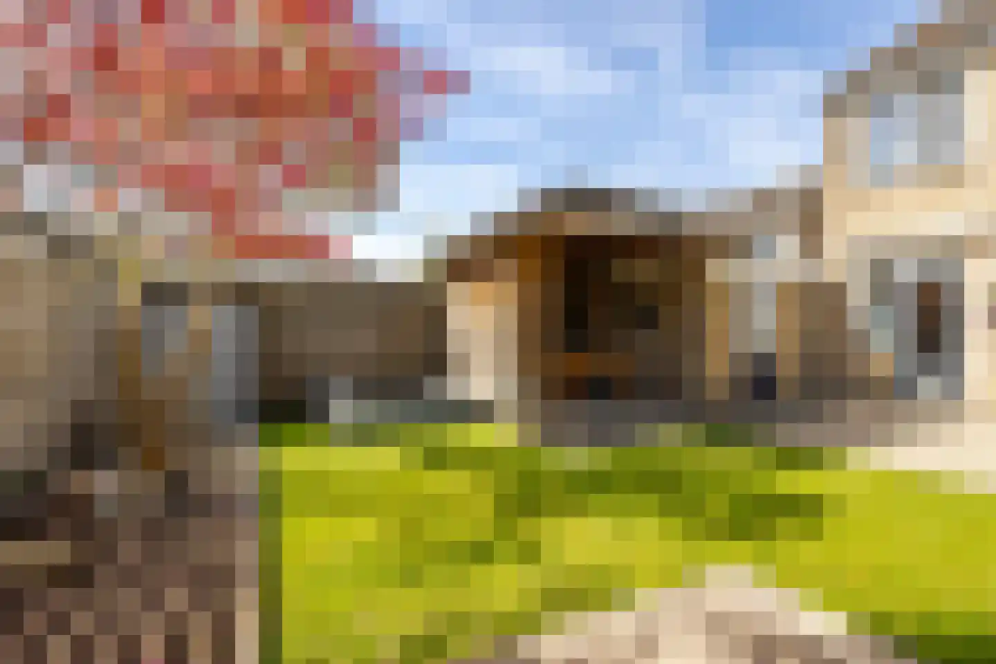 van Wenastraat 27 Giessenburg thumbnail 36
