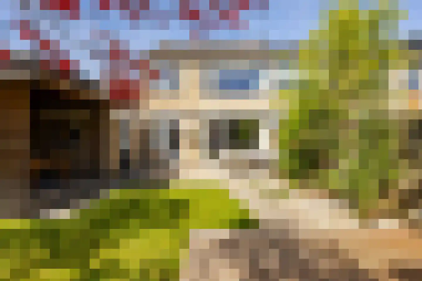 van Wenastraat 27 Giessenburg thumbnail 37