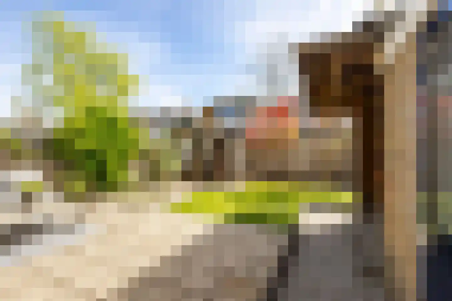 van Wenastraat 27 Giessenburg thumbnail 38