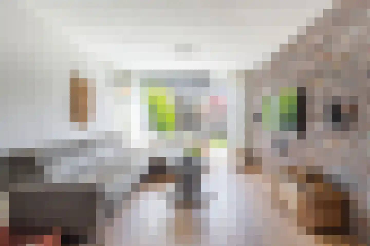 van Wenastraat 27 Giessenburg thumbnail 7