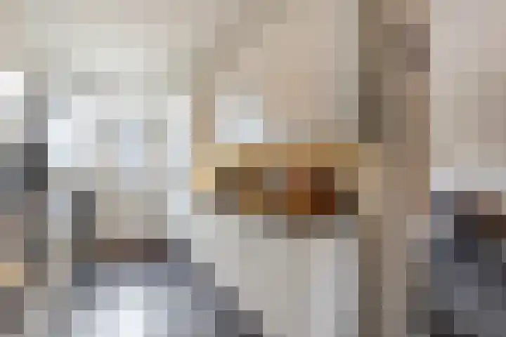 van Wenastraat 7 Giessenburg thumbnail 15