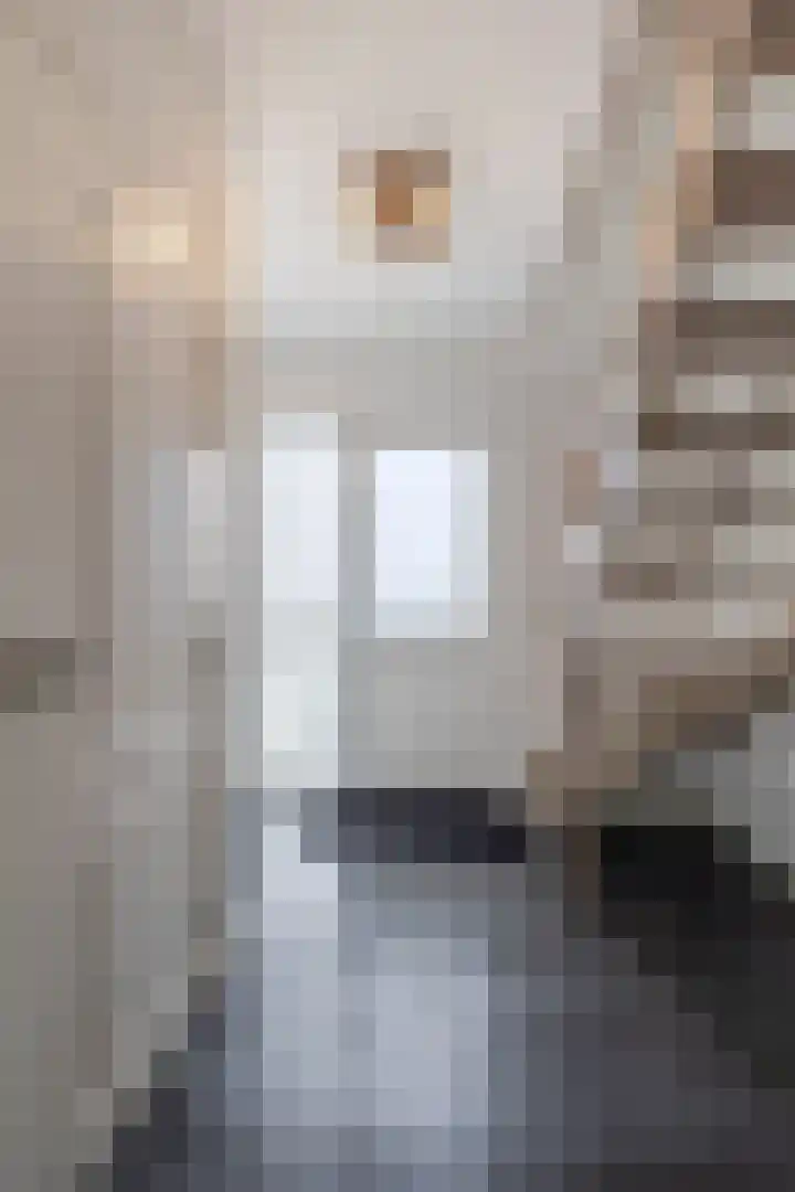 van Wenastraat 7 Giessenburg thumbnail 19