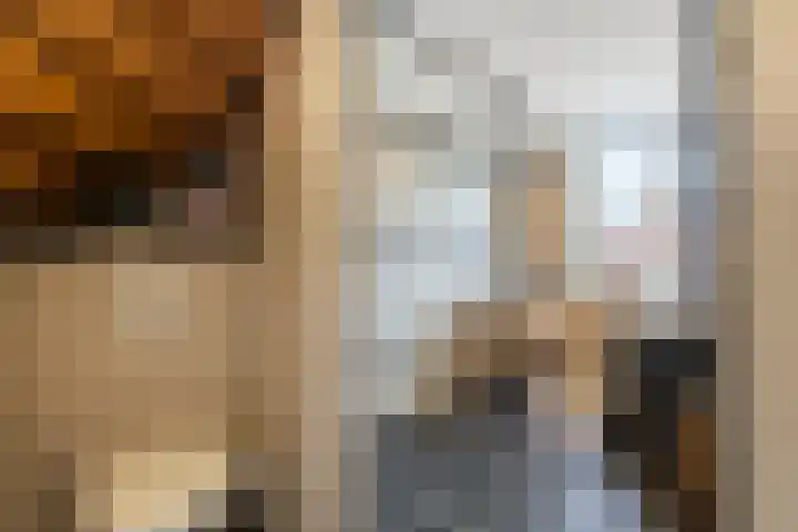 van Wenastraat 7 Giessenburg thumbnail 27