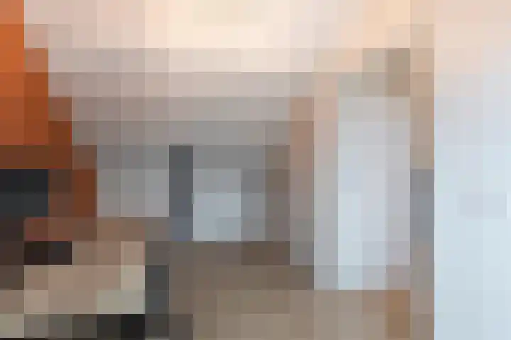 van Wenastraat 9 Giessenburg thumbnail 34