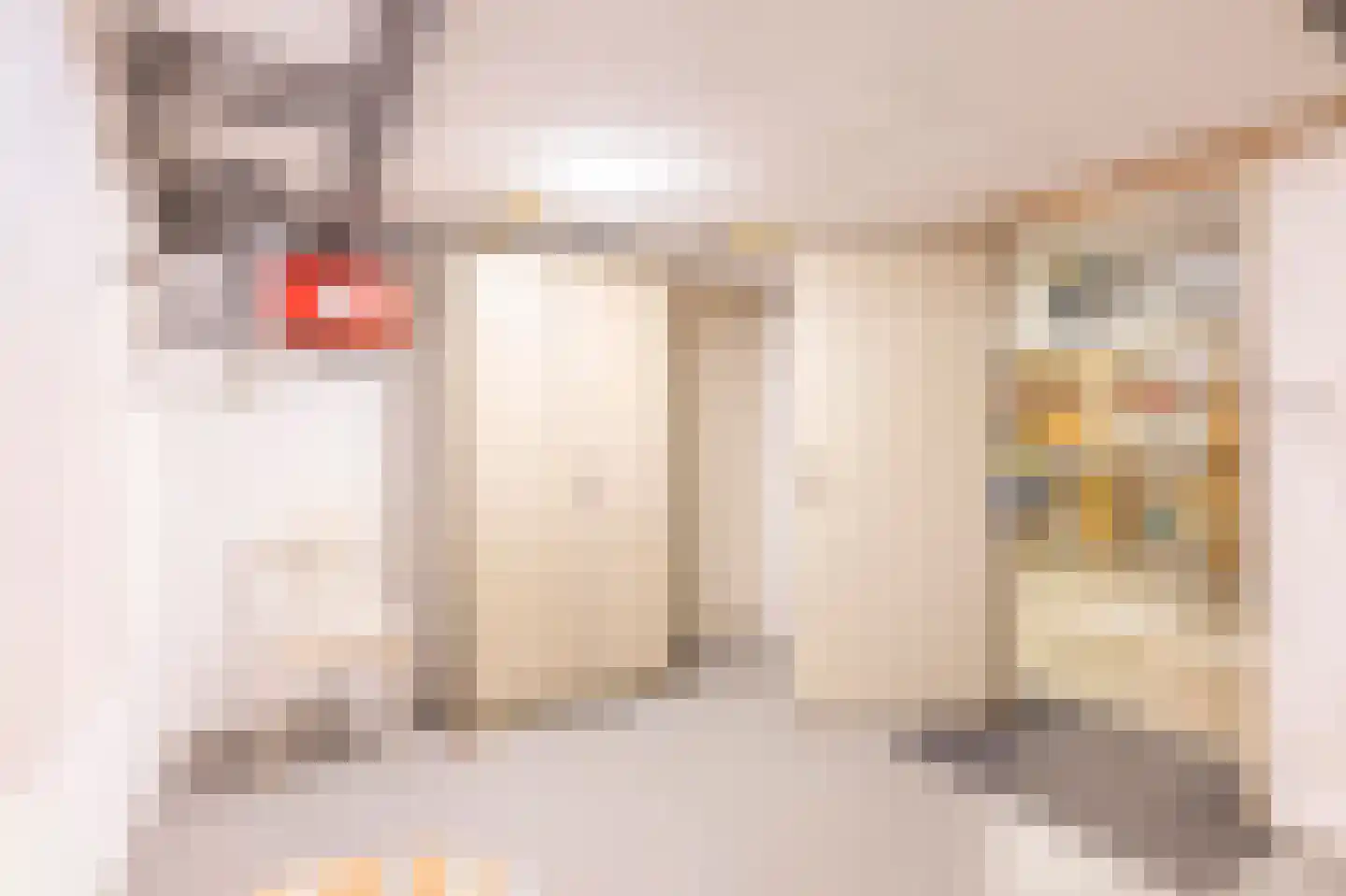 Van Werschstraat 26 Simpelveld thumbnail 21