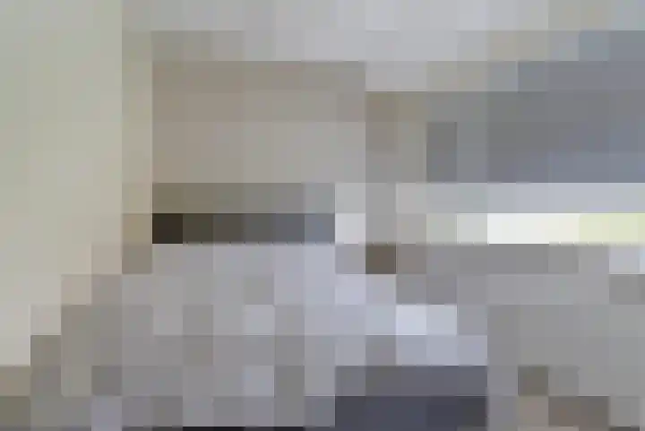 Van Weselstraat 19 Elst thumbnail 17