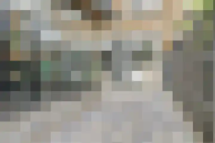 Van Weselstraat 19 Elst thumbnail 27