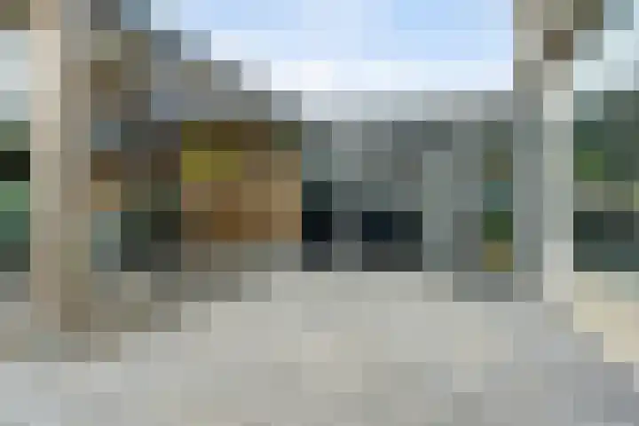 Van Weselstraat 19 Elst thumbnail 28