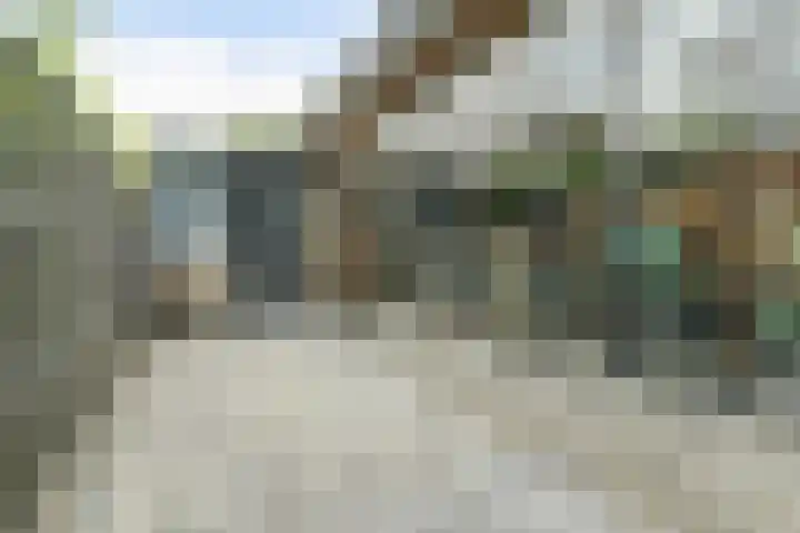 Van Weselstraat 19 Elst thumbnail 29