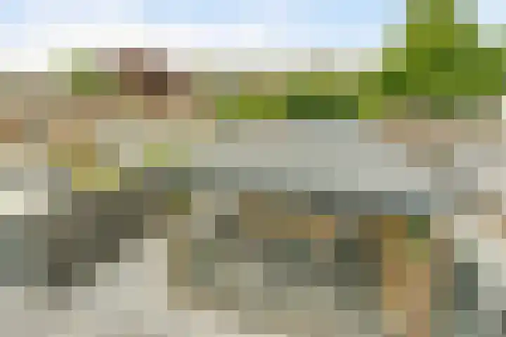 Van Weselstraat 19 Elst thumbnail 31