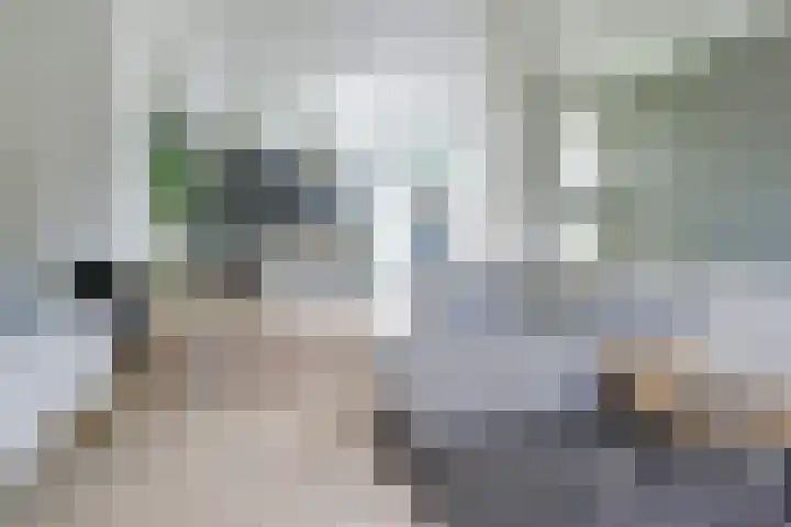 Van Weselstraat 19 Elst thumbnail 4