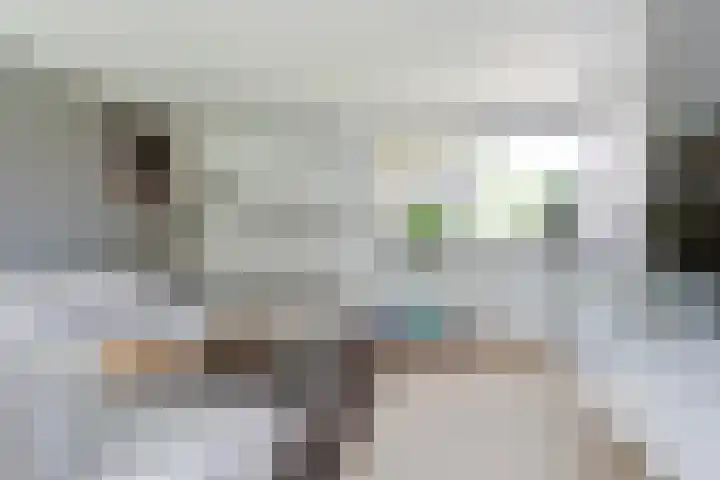 Van Weselstraat 19 Elst thumbnail 6