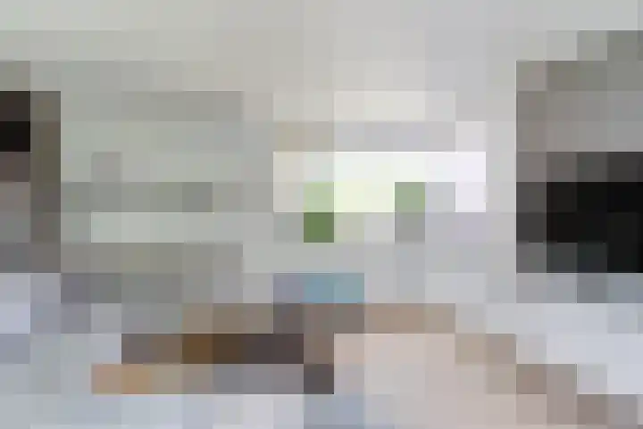 Van Weselstraat 19 Elst thumbnail 7