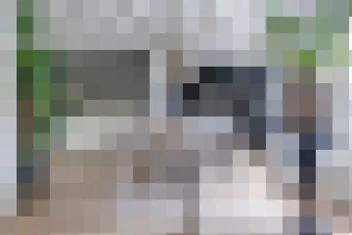 Van Weselstraat 19 Elst thumbnail 8