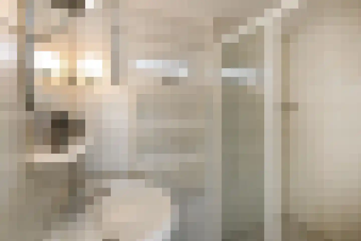 Van Weselstraat 7 Elst thumbnail 29