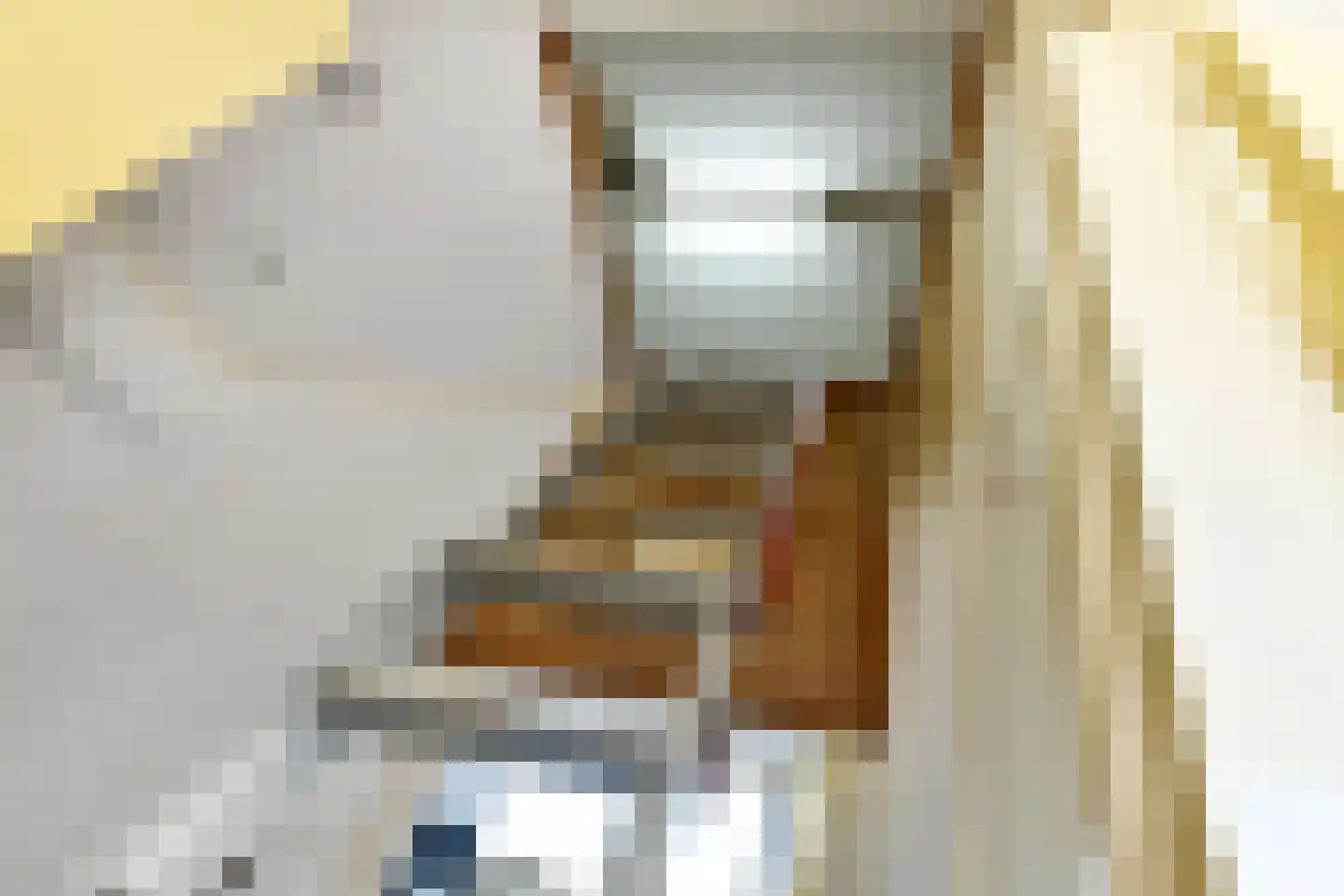 Van Weselstraat 7 Elst thumbnail 32