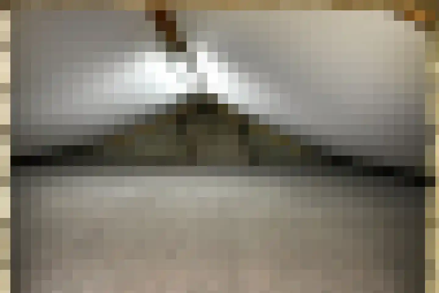 Van Weselstraat 7 Elst thumbnail 33
