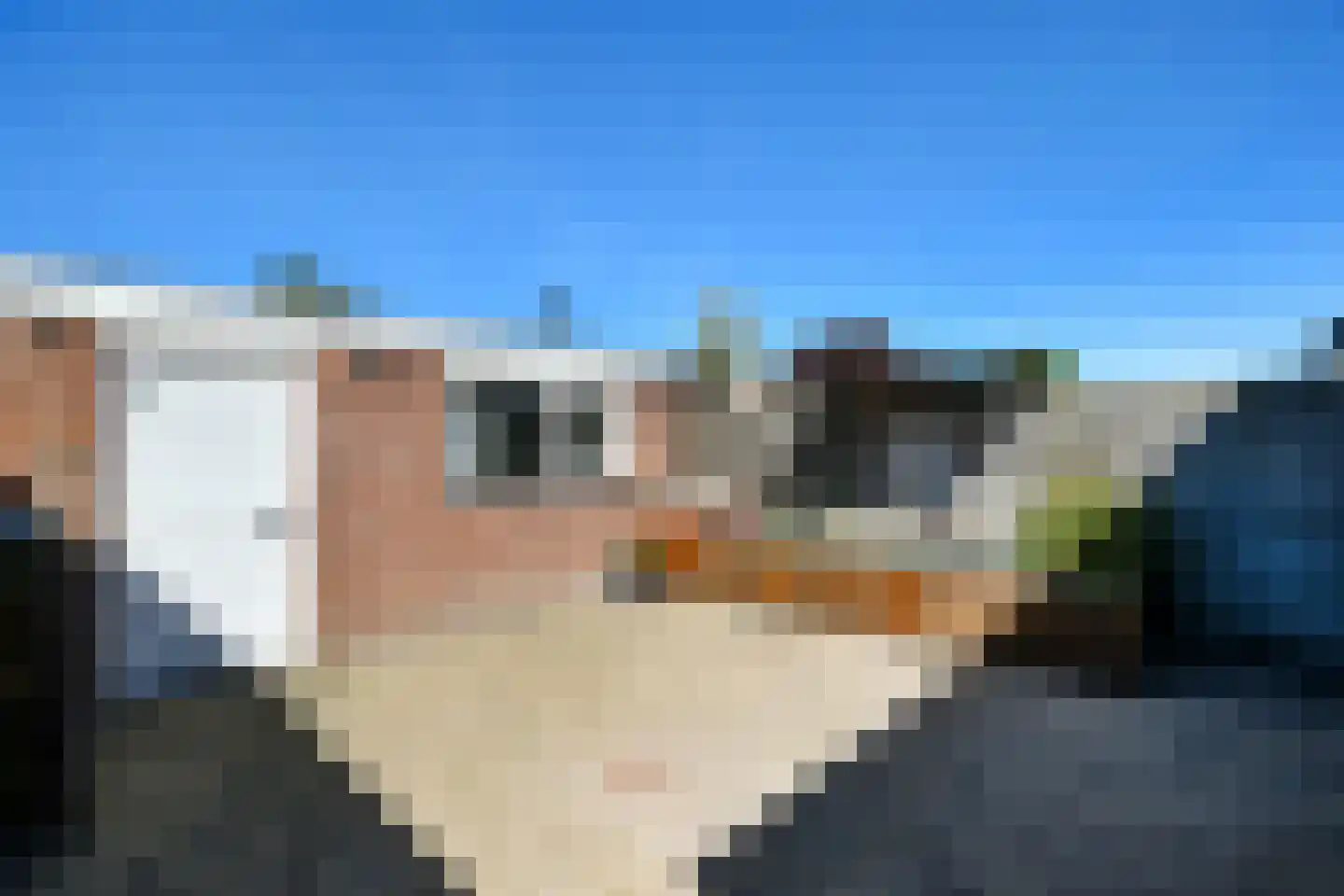 Van Weselstraat 7 Elst thumbnail 35
