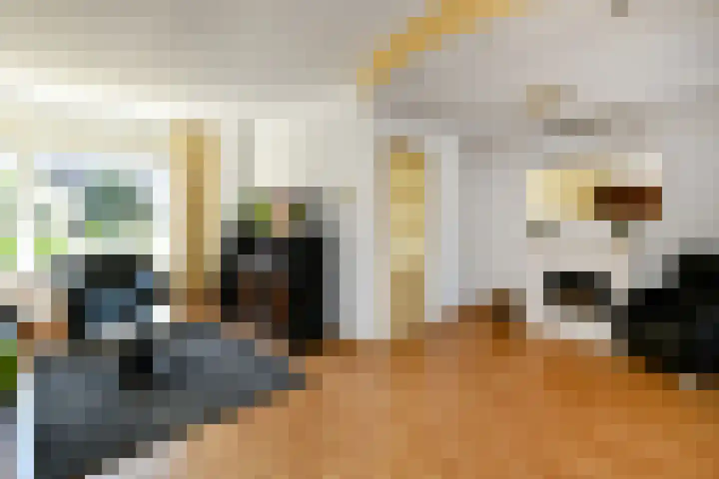 Van Weselstraat 7 Elst thumbnail 4
