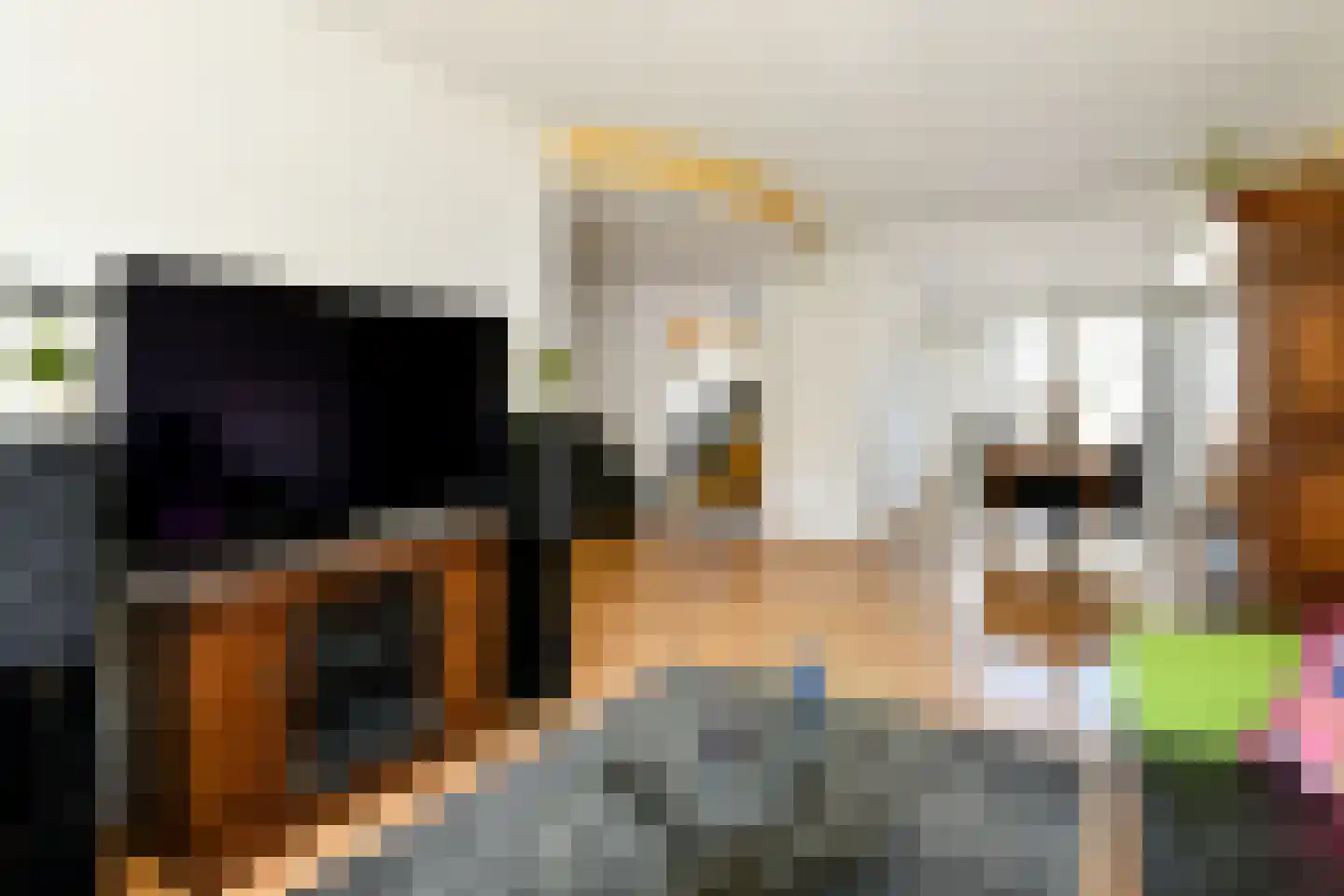 Van Weselstraat 7 Elst thumbnail 6