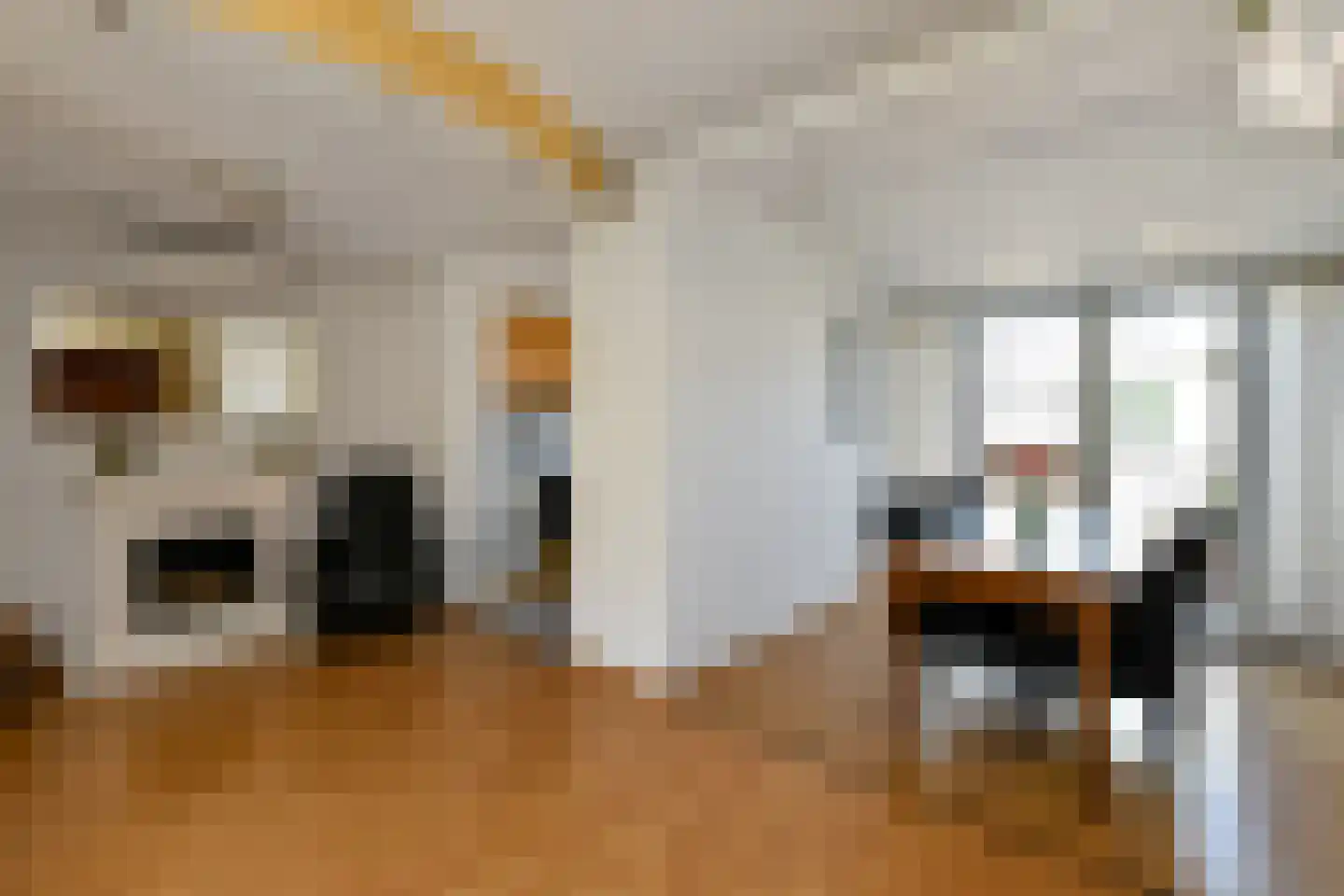 Van Weselstraat 7 Elst thumbnail 8