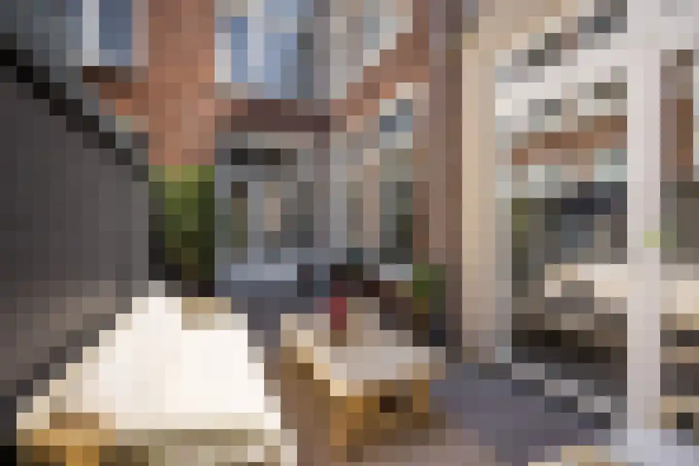 Van Wesenbekestraat 40 Den Haag thumbnail 25