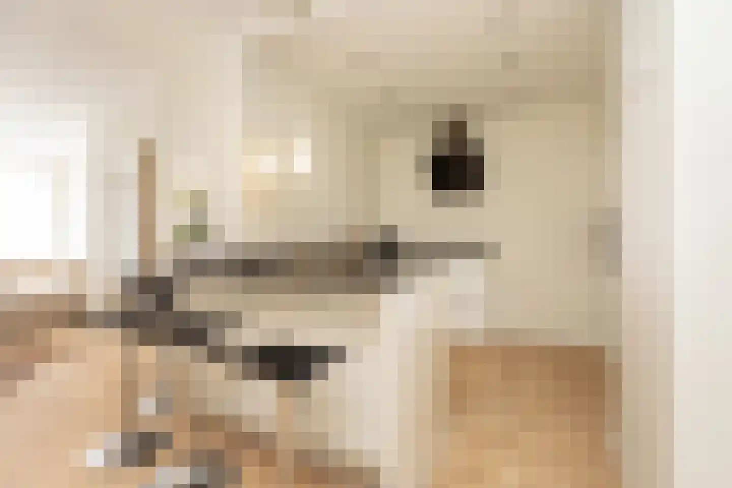 Van Wesenbekestraat 57 Den Haag thumbnail 6