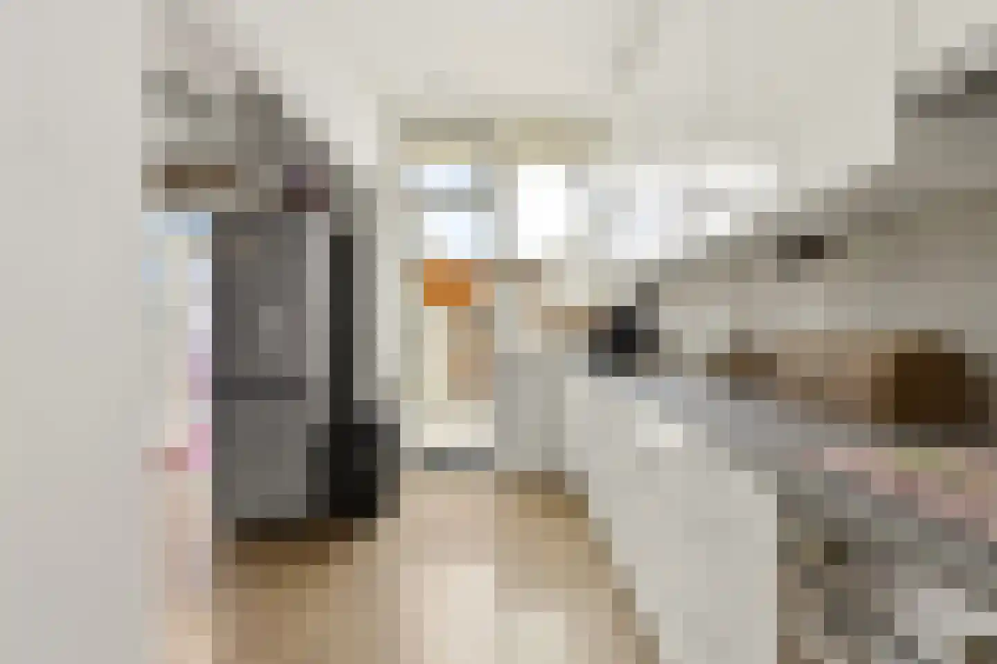 Van Wesenbekestraat 9 Den Haag thumbnail 12
