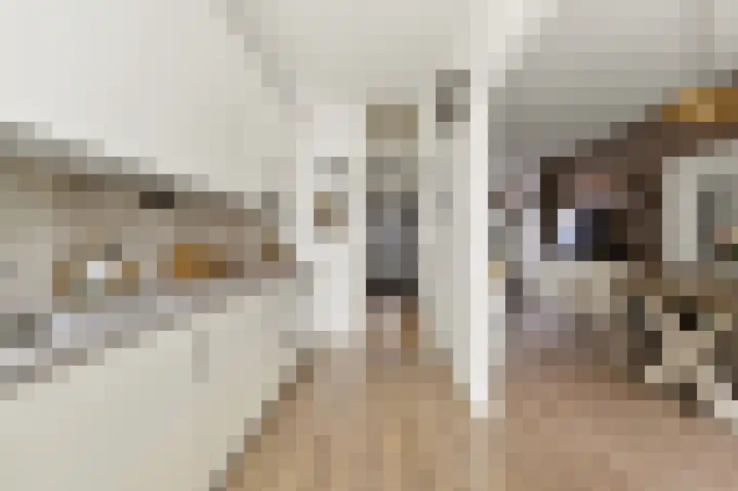 Van Wesenbekestraat 9 Den Haag thumbnail 13