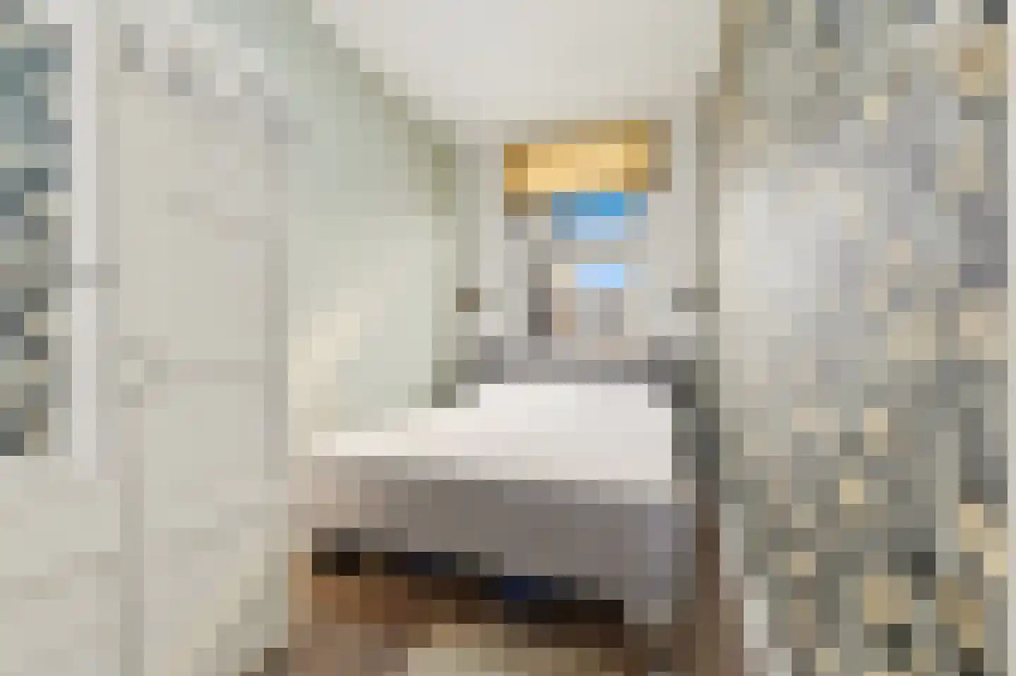 Van Wesenbekestraat 9 Den Haag thumbnail 14