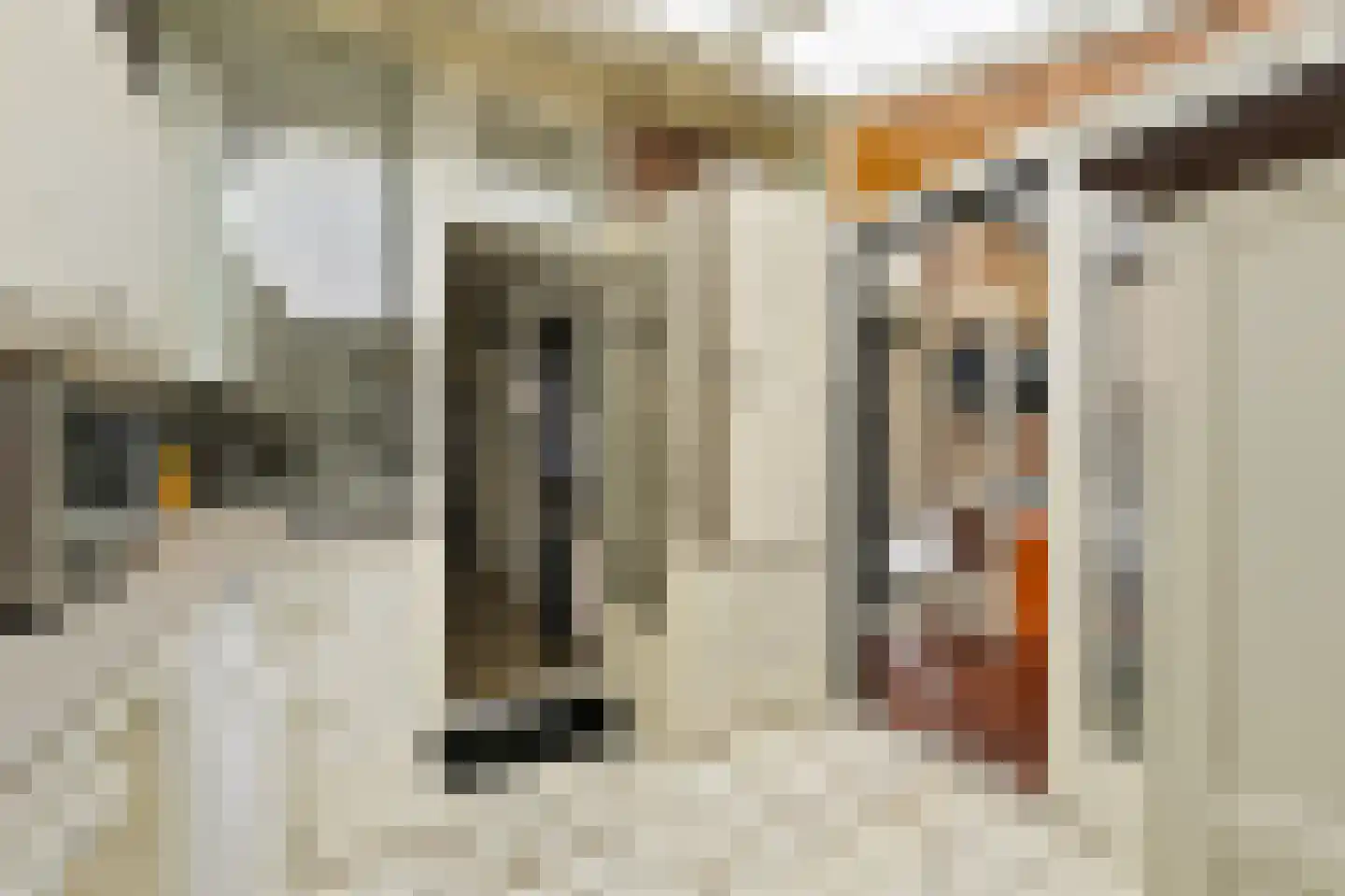 Van Wesenbekestraat 9 Den Haag thumbnail 18