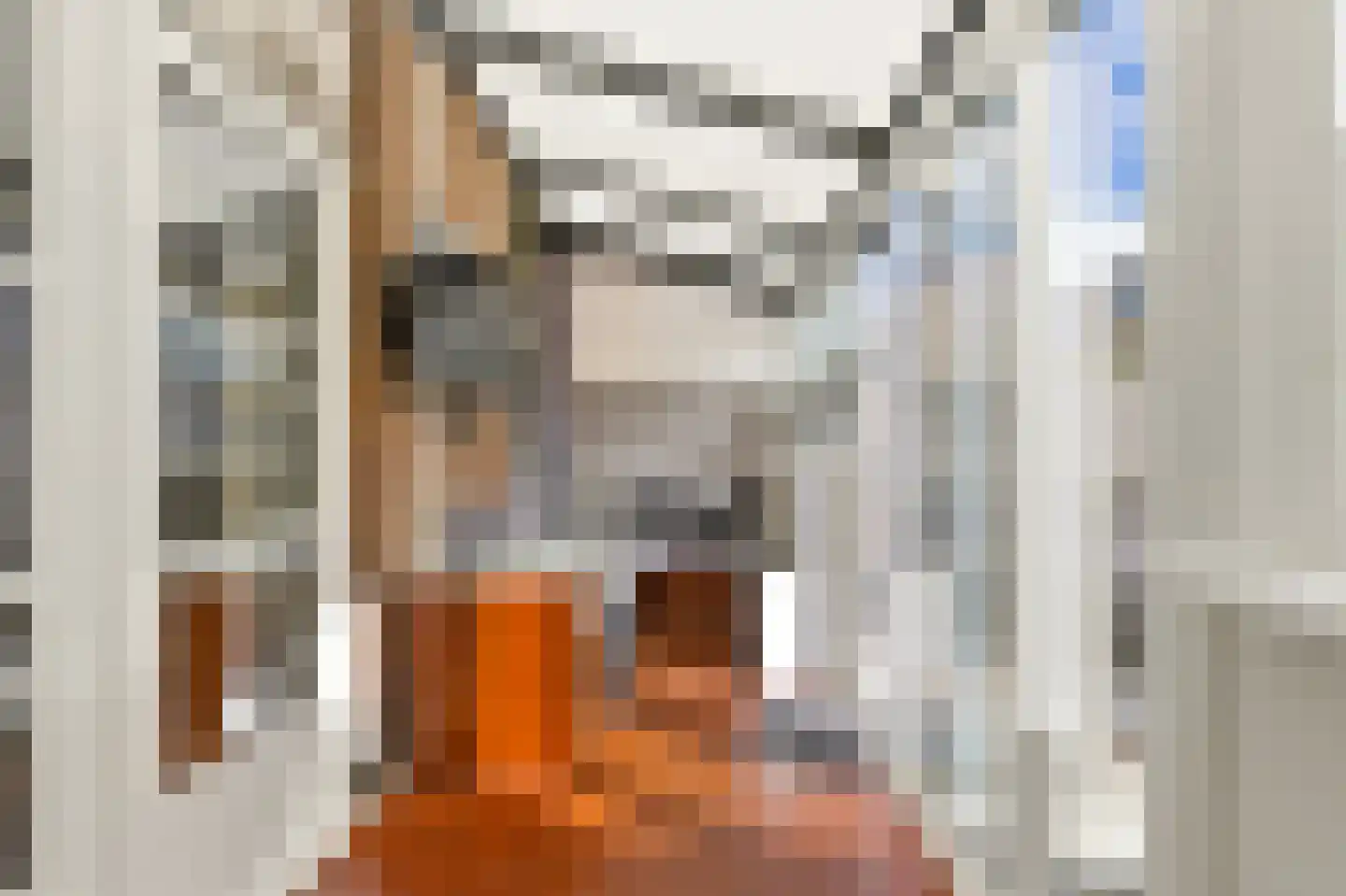 Van Wesenbekestraat 9 Den Haag thumbnail 20