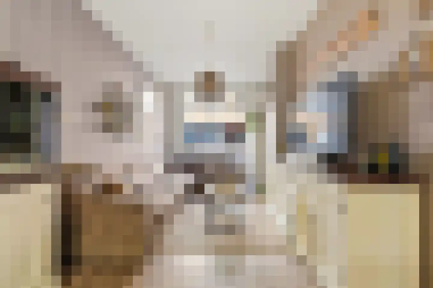 Van Wesenbekestraat 9 Den Haag thumbnail 7
