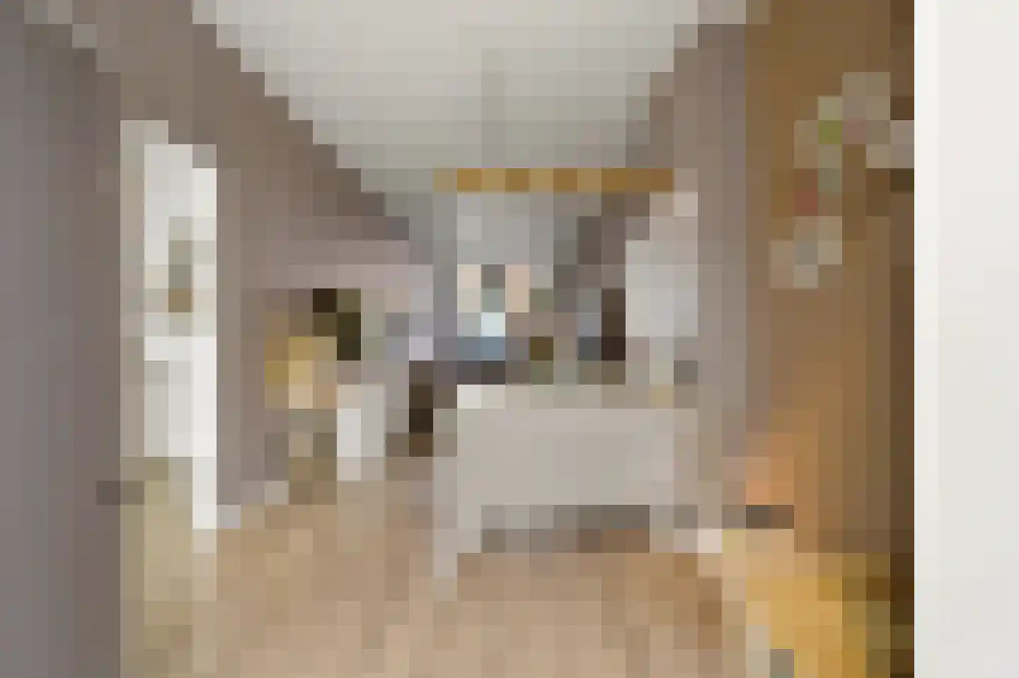 Van Wesenbekestraat 9 Den Haag thumbnail 9