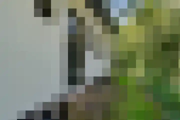 van Westerholtlaan 1 Schiermonnikoog thumbnail 29