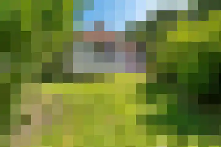 van Westerholtlaan 1 Schiermonnikoog thumbnail 30
