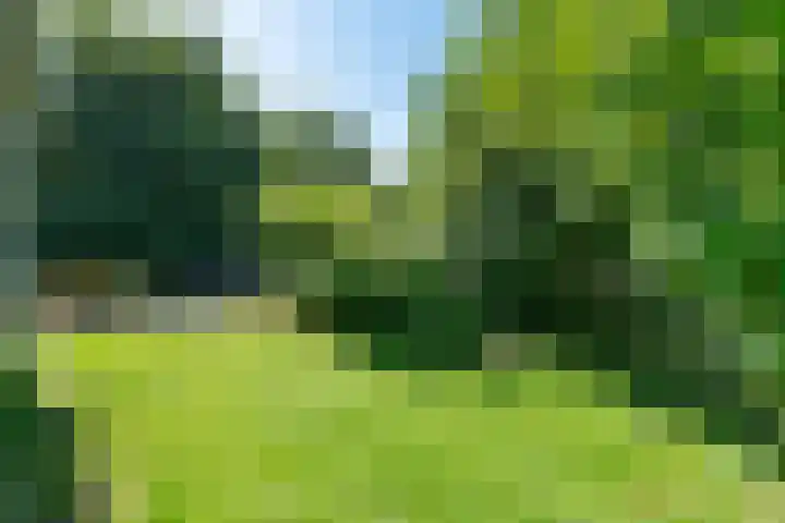 van Westerholtlaan 1 Schiermonnikoog thumbnail 31