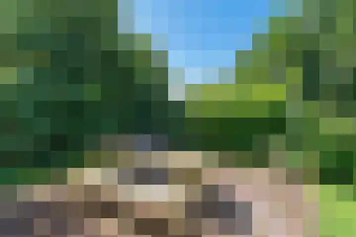 van Westerholtlaan 1 Schiermonnikoog thumbnail 32
