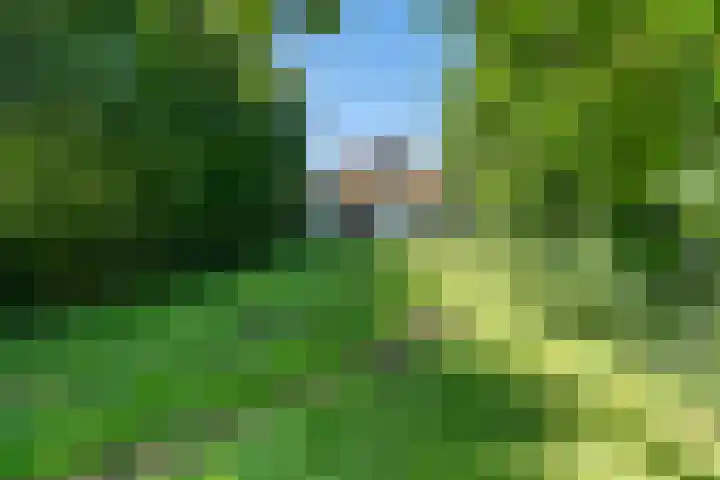 van Westerholtlaan 1 Schiermonnikoog thumbnail 33