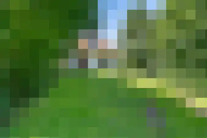 van Westerholtlaan 1 Schiermonnikoog thumbnail 34