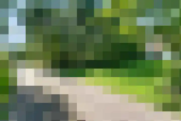 van Westerholtlaan 1 Schiermonnikoog thumbnail 35