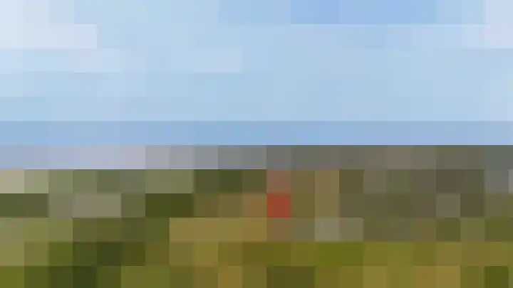 van Westerholtlaan 1 Schiermonnikoog thumbnail 36