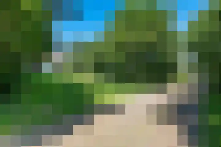 van Westerholtlaan 1 Schiermonnikoog thumbnail 5