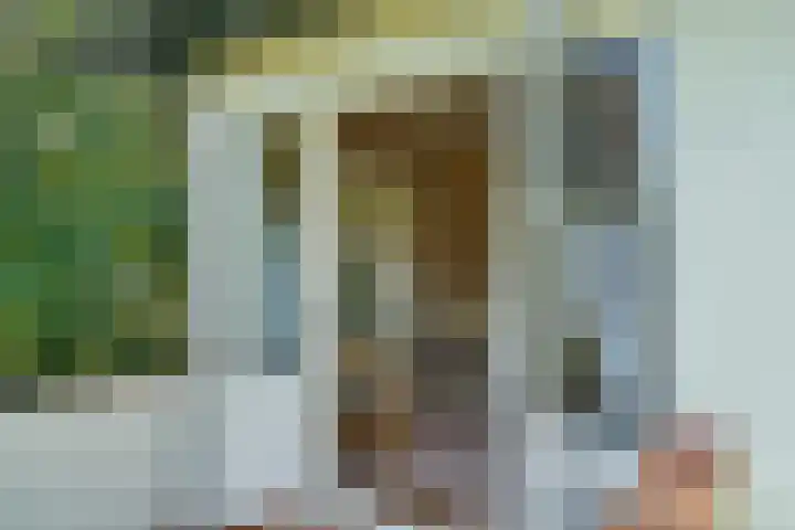van Westerholtlaan 1 Schiermonnikoog thumbnail 7